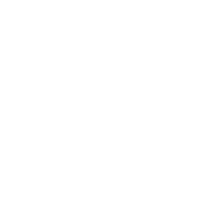 Rally Rebels